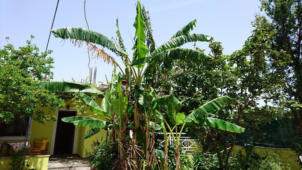 Hotel Mando Marathokampos Bagian luar foto